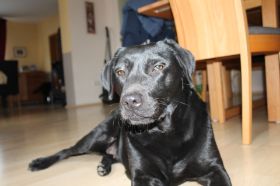 IMG_1001.jpg