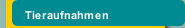 Tieraufnahmen