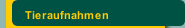 Tieraufnahmen